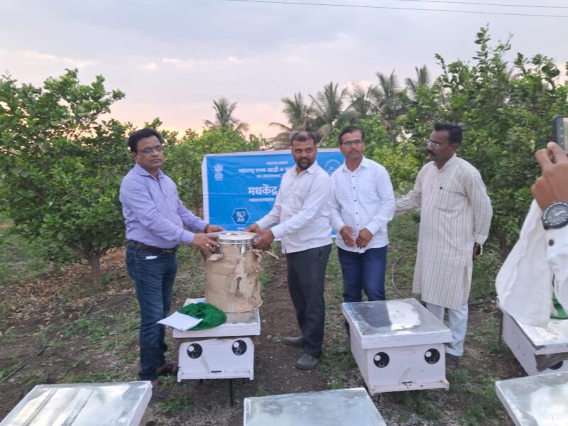 मधमाशा पालन योजना