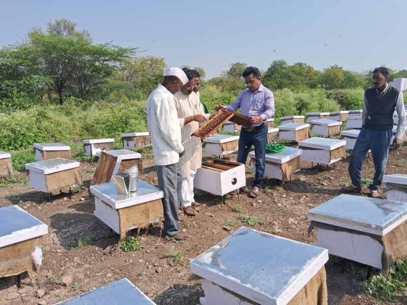 मधमाशा पालन योजना