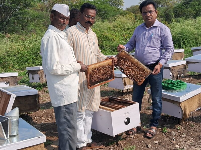 मधमाशा पालन योजना