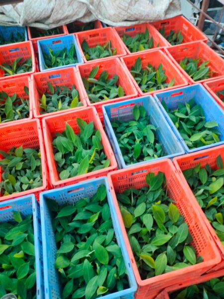 MAHABEEJ DISTRICT OFFICE NANDED