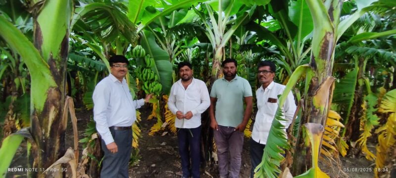 MAHABEEJ DISTRICT OFFICE NANDED