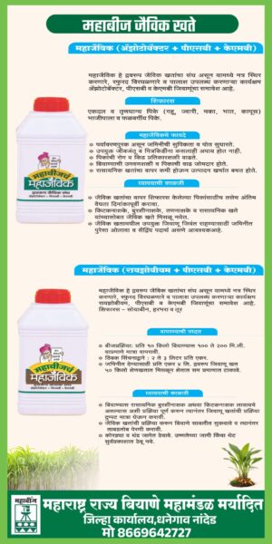 MAHABEEJ DISTRICT OFFICE NANDED