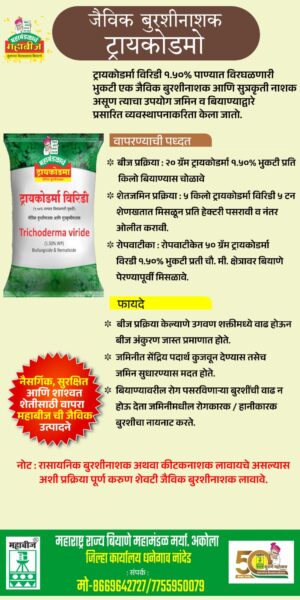 MAHABEEJ DISTRICT OFFICE NANDED