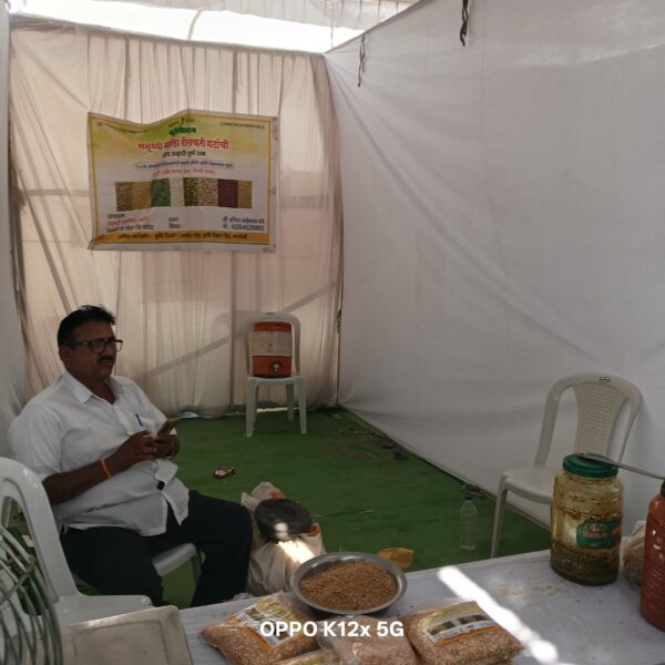 स्वयंसहायता समूह बचत गट