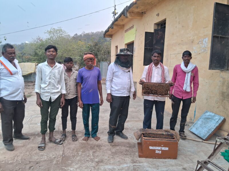 मधमाशा पालन योजना