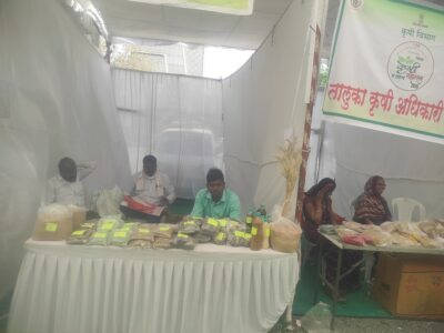 रेणुका माता