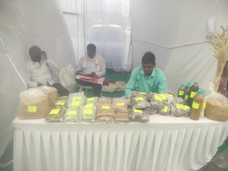 रेणुका माता