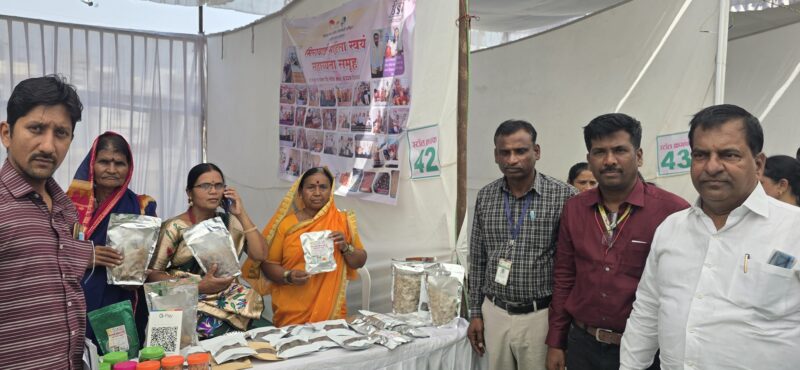 मिराबाई महिला स्वयंसहाय्यता समूह