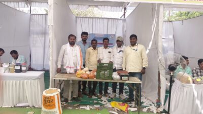 मिरची पावडर हळद पावडर गावरान मुगाची डाळ व तुरीची डाळ