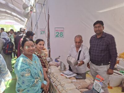 किसान शेतकरी गट जाहूर तालुका मुखेड सर्व प्रकारचेतृणधान्य